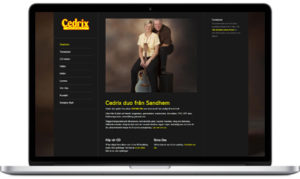 Referens Hemsida Nr 3